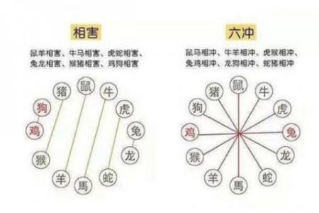 属牛和属兔相配合吗,属牛与属兔的配对是否合适