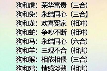 47属什么生肖相配 47与哪些生肖最相配